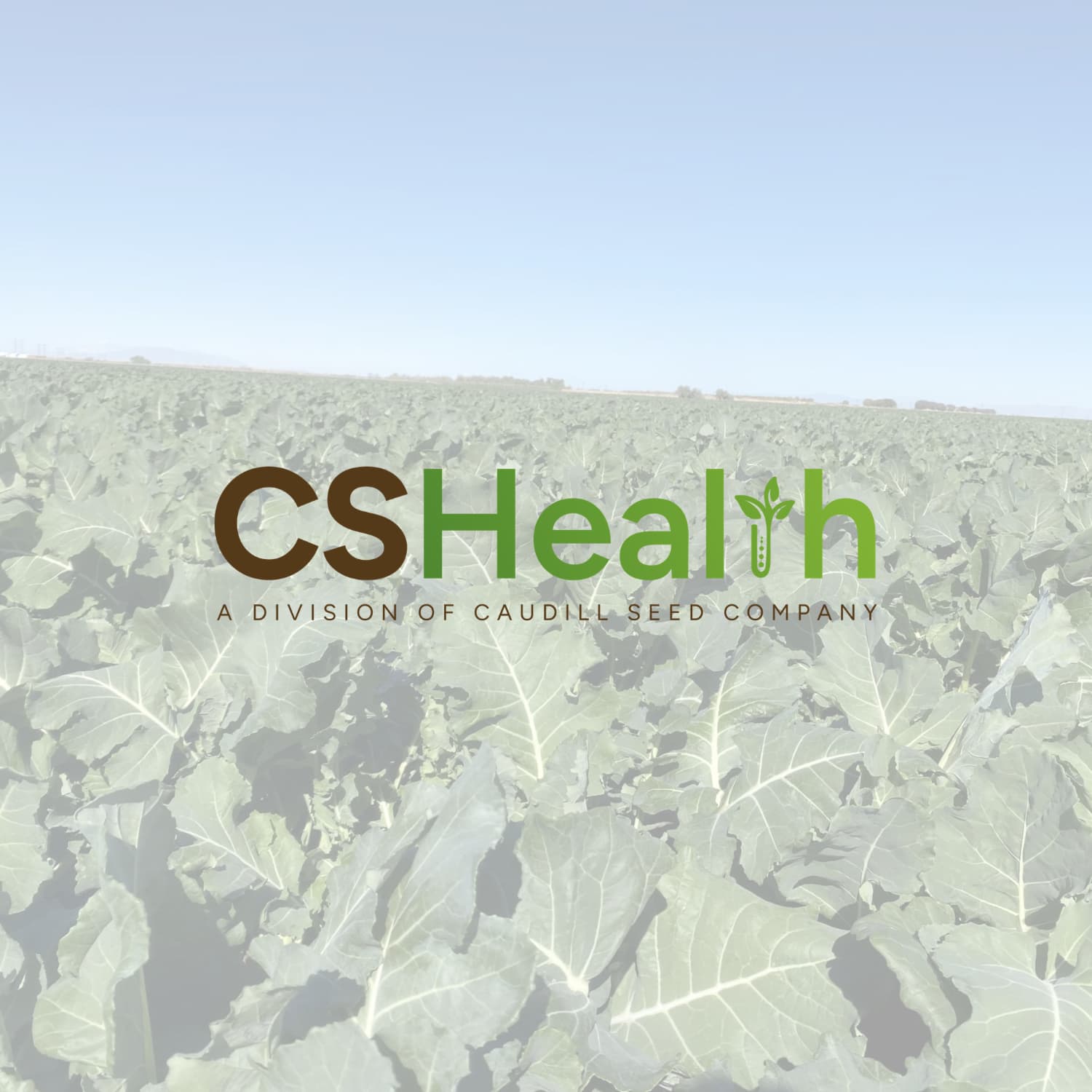 CS Health